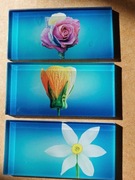 Mozaika szklana prostokąty 4,5x9,8cm nadruk na szkle KWIATY