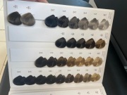 Palecta do koloryzacji Moroccanoil