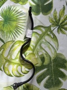 PRZEWÓD ZASILANIE PALIWA 2.0 TDCI 1692153 _ AV61-9L272-BA