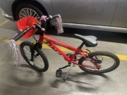 Rower górski dziecięcy ALPINA Flip 20 czerwony