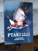 Brzesko Borzęcin Ptaki Gminy Borzęcin Majka Stachoń