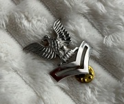 Przypinka - USN - Petty Officer Second Class E-5 (Cap Device) PO2 (silver)