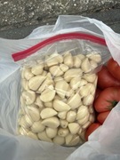 Czosnek Ornak łuskany na kilogramy