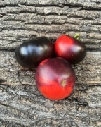 AMETHYST HEART  POMIDOR kOLEKCJONERSKI 