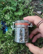 Mieszanka ziół na SEN