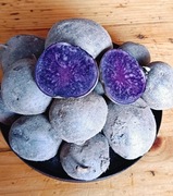 Fioletowe ziemniaki "dark blue" 3kg BIO/EKO