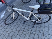 Rower boardman damski 