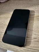 iPhone 13 Pro 256GB 