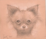 PSINKA portret piesek 16x19cm ołówek