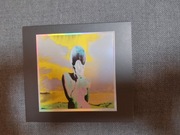 Nurse With Wound Lung Oysters - Addendum CD folia