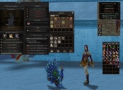 Szamanka Healer 65lv + Szata 54lv na serwerze Eryndos.pl