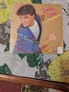 David Lyme - Bye, Bye Mi Amor, 7"singiel winylowy Italo disco 