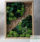 Obraz z mchu chrobotka 40x50 cm "Ścieżka przez las"