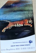 karta telefoniczna tygrys TP S.A.
