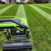 Wałek do pasów na trawniku,Lawn Stryper GC Pro Series 21,made in usa