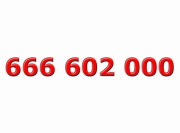 Złoty numer ____ 666 602 000 ____ Platynowy - ViP