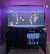 Akwarium Słodkowodne