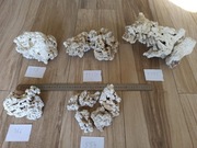 Skała do akwarium morskiego Fiji Pukani