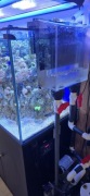 Pudełko przelewowe Fish Tank Akwarium Zbiornik Filtr Box Akryl 5000L Czarny