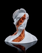 Whirls Anatomy Surrealistyczna Rzeźba Anatomii w Wydaniu Premium