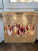 Płyta winylowa Promenade Concert János Ferencsik