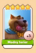 Modny terier karta Coin Master