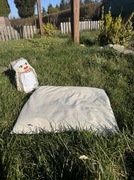 Poduszka z łuską gryki 50x60cm. Szyte przez moją mamę <3