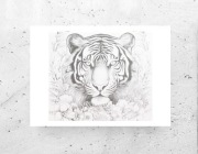 tygrys plakat A4, biało czarny plakat, szary plakat, zwierzęta plakaty