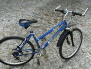 Rower damski Wheeler