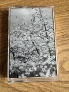 ANTON FRIISGAARD Minor Blossoms KASETA ambient experimental VAKNAR