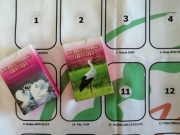 Karty Lenormand Double +Obrus