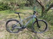 Trek X-Caliber 7 2020, rozmiar XL, szary, używany, modyfikacje
