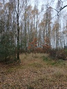 Działka budowlana  ( bud jednorodzinne )