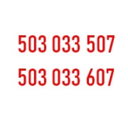 503 033 507 i 503 033 607 Para, Duet, 2 Złote, Podobne numery 