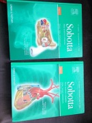 Atlas anatomii człowieka Sobotta komplet dwóch tomów łacina 