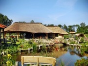 Dachy z trzciny, strzecha