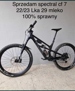 Canyon spectral cf7 22/23r L 29