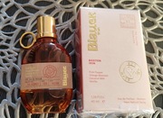 Blauer The Journey Boston 1936