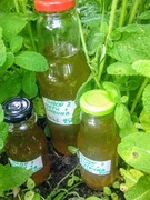 Syrop miętowy + sok z cytryn. 300 ml  {4zł/100ml}