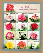 Bangladesz 2010 Róże