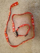 Smycz z obrożą dla nie dużego psa 