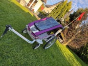 Przyczepka rowerowa THULE Chariot Cougar 1