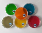 Sterylne szalki z agarem do uprawy grzybni 5szt. Różne kolory