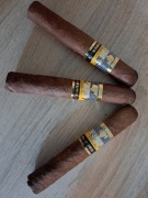 Cygara kubańskie - Cohiba Maduro - PREMIUM!