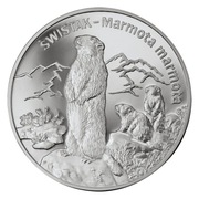 srebrna moneta 20 zł / 2006 r. - Świstak (łac. Marmota marmota)