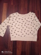 Bluza w zebry krótka