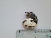 Magnes na lodówkę - 236g. FLORYDA Aligator
