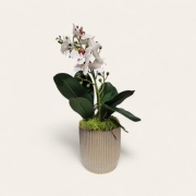 Sztuczny storczyk, dekoracja, prezent