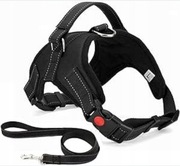 Szelki i smycz dla psa Musonic bez ściągacza L