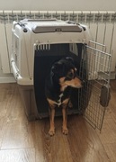 Transporter Tryxie Skudo 5